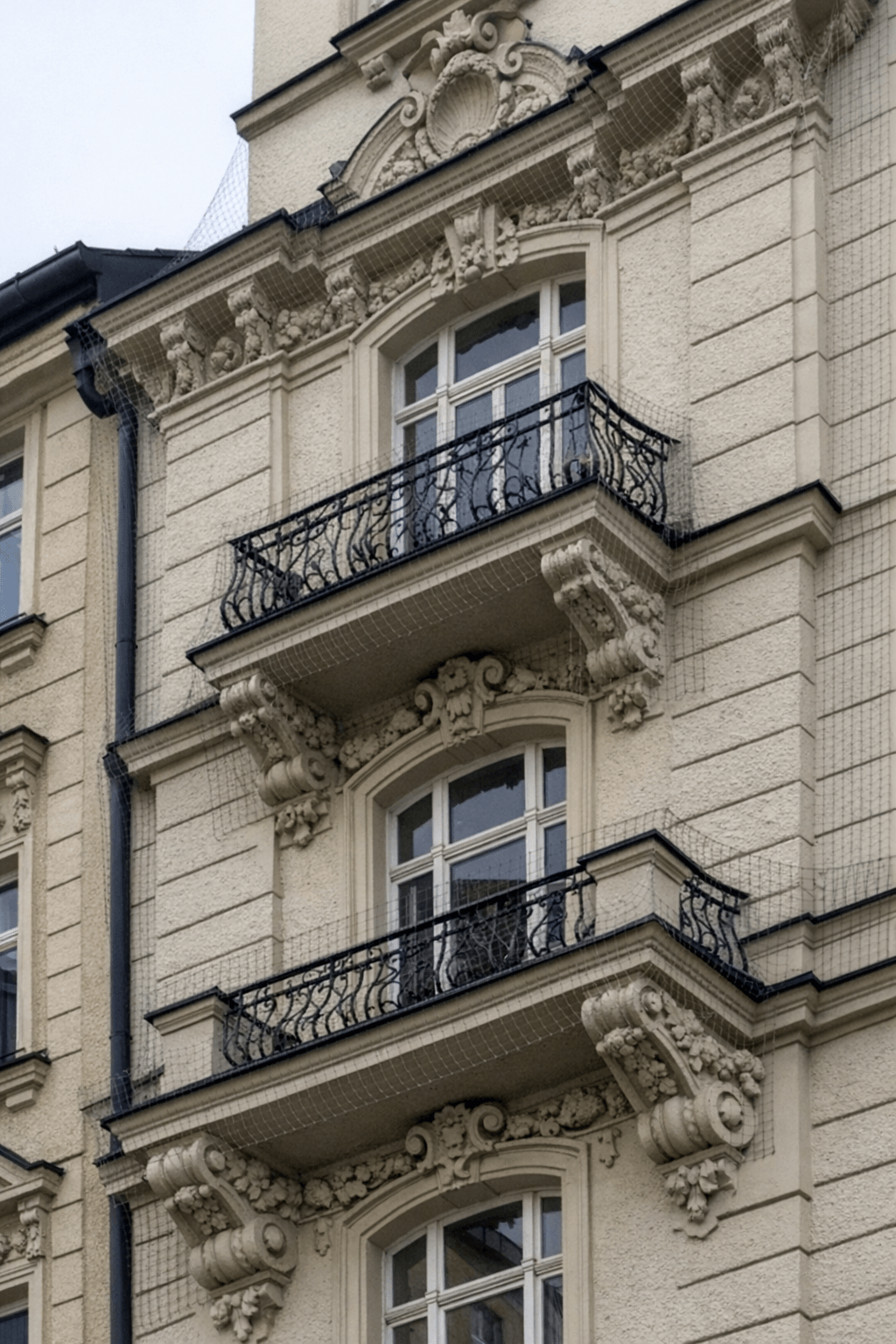 Historische Altbaufassade mit unauffälligem Taubennetz